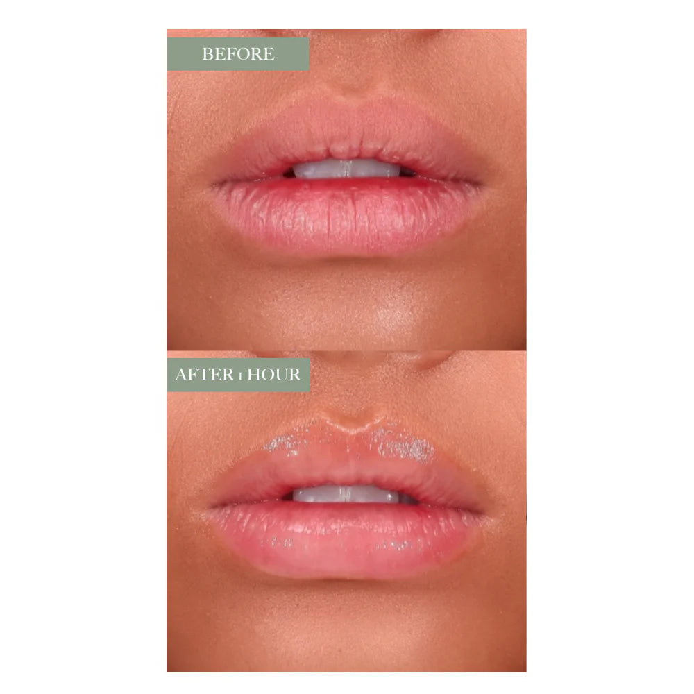 Anfisa AN-GLOSS Ceramide Lip Treatment- Original